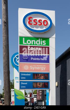 Ein Esso-Benzinpreisschild an einer Tankstelle in Canterbury, Kent. Stockfoto