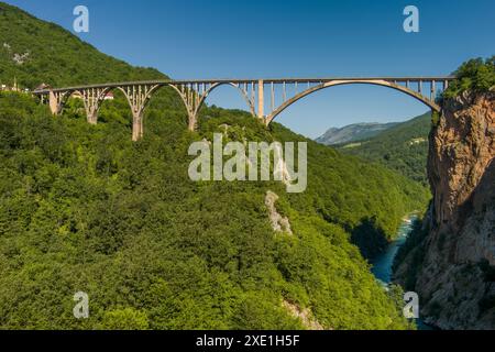 Tara River Canyon und Djurdjevica Brücke Stockfoto