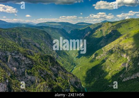 Tara River Canyon und Berge Stockfoto