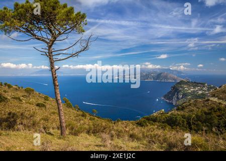 Geografie / Reise, Italien, Kampanien, Blick vom Monte Solaro in Richtung Marina Grande, Capri, ADDITIONAL-RIGHTS-CLEARANCE-INFO-NOT-AVAILABLE Stockfoto