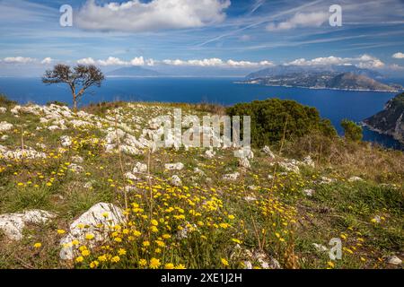 Geographie / Reise, Italien, Kampanien, Blick vom Monte Solaro in Richtung Neapel, Capri, ADDITIONAL-RIGHTS-CLEARANCE-INFO-NOT-AVAILABLE Stockfoto