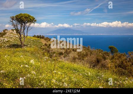 Geographie / Reise, Italien, Kampanien, Blick vom Monte Solaro in Richtung Neapel, Capri, ADDITIONAL-RIGHTS-CLEARANCE-INFO-NOT-AVAILABLE Stockfoto