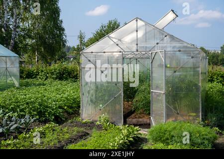 Gewächshaus im Garten für den Anbau von Tomaten, Gurken und Pflanzen. Stockfoto