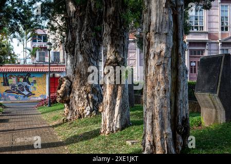 Parque Morazan, San Jose, Costa, Rica Stockfoto