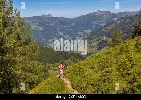 Wanderung auf dem Almenweg durch das Salzburgerland, Großarl, Salzburg, Österreich Stockfoto