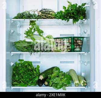 Grünes Gemüse und Gemüse im offenen Kühlschrank Stockfoto