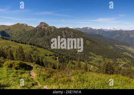 Wanderung auf dem Almenweg durch das Salzburgerland, Großarl, Salzburg, Österreich Stockfoto