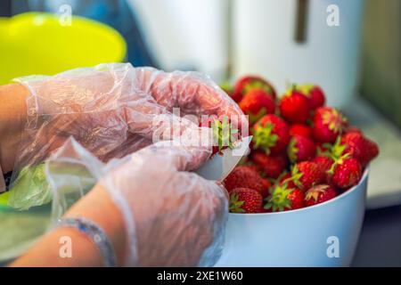 Nahaufnahme von mit Handschuhen versehenen Frauenhänden, die Erdbeeren mit Messer in der Hausküche reinigen. Stockfoto