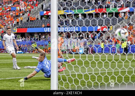 Berlin, Deutschland. Deutschland. Juni 2024. Berlin, Deutschland. Olympia-Stadion, 25.06.2024, Fußball-Europameisterschaft Euro2024, Gruppenspiel Nr. 31 zwischen den Niederlanden und Österreich, niederländischer Spieler Cody Gakpo erzielte 1-1 Credit: Pro Shots/Alamy Live News Stockfoto