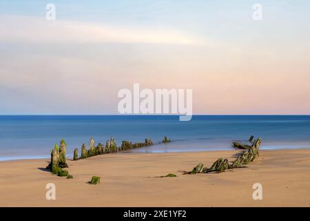 Der Rattray Head Lighthouse steht über den tückischen Sandbänken von Rattray Head, wo die Skelettreste hölzerner Schiffswracks als ein Wächter dienen Stockfoto