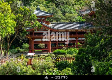 Byodo-in japanischen Tempel auf der Insel Oahu, Hawaii Stockfoto