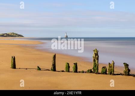 Der Rattray Head Lighthouse steht über den tückischen Sandbänken von Rattray Head, wo die Skelettreste hölzerner Schiffswracks als ein Wächter dienen Stockfoto