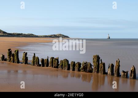 Der Rattray Head Lighthouse steht über den tückischen Sandbänken von Rattray Head, wo die Skelettreste hölzerner Schiffswracks als ein Wächter dienen Stockfoto