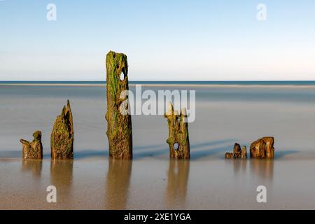 Der Rattray Head Lighthouse steht über den tückischen Sandbänken von Rattray Head, wo die Skelettreste hölzerner Schiffswracks als ein Wächter dienen Stockfoto