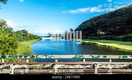 Wunderschöner Fluss im Waimea Bay Valley auf oahu Island in hawaii Stockfoto