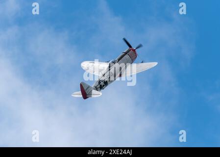 Republic P-47 Thunderbolt Jagdflugzeug namens Nellie B fliegt auf der Sywell Airshow 2024 in Northamptonshire. Klettern in den blauen Himmel Stockfoto