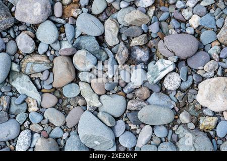 Hintergrund von kleinen Kieselsteinen und Steinen an der Küste oder im Garten Stockfoto