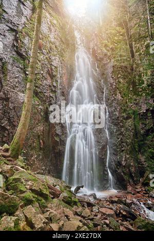 Der Burgbacher Wasserfall im Nadelwald fällt über Granitfelsen in das Tal bei Bad Rippoldsau-Schapbach, Schwarzwald, GE Stockfoto