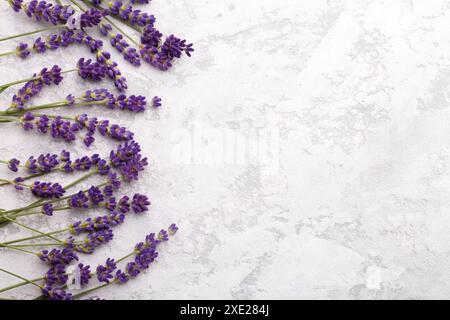Lavendelblüten auf grauem Steinhintergrund Stockfoto