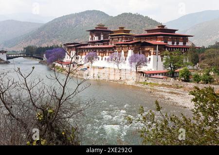 Ansicht des Punakha Klosters in Punakha, Bhutan Stockfoto