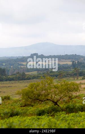 Mont Saint-Michel de Brasparts und seine Gipfelkapelle verrauchten am 3. Tag der Brände, die den Monts d'Arrée in Finistère, Bretagne heimsuchten. Stockfoto