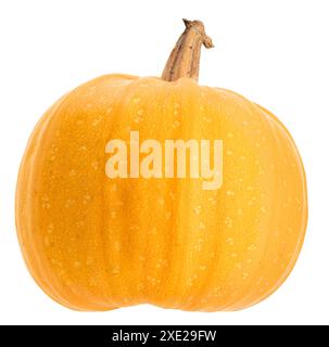 Orangefarbener runder Kürbis isoliert auf weißem Hintergrund Stockfoto