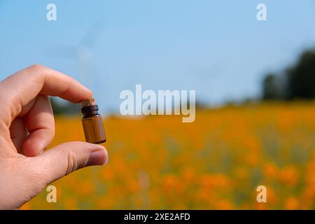 Hand hält Reagenzglas mit Flüssigkeit auf dem Hintergrund der Rapsblumen Feld blühende Farm. Rapsöl auf natürlichem Hintergrund. Fa Stockfoto