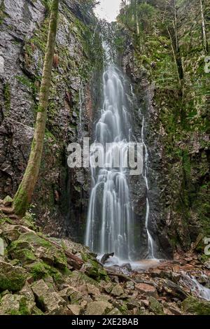Der Burgbacher Wasserfall im Nadelwald fällt über Granitfelsen in das Tal bei Bad Rippoldsau-Schapbach, Schwarzwald, GE Stockfoto