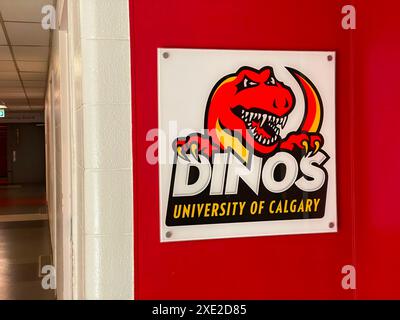 Calgary, Alberta, Kanada. September 2023. Die Dinos sind die Leichtathletikteams der University of Calgary. Sie symbolisieren Stockfoto