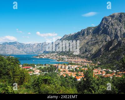 Kotor in Montenegro Stockfoto