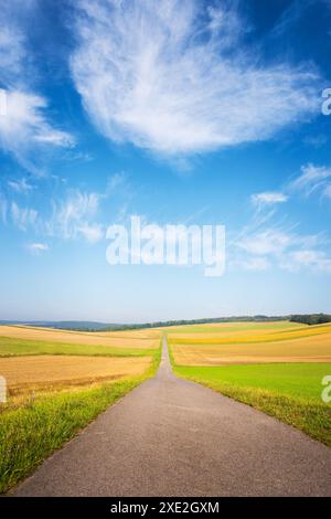 Kleine Straße, die durch Ackerland mit Wolken am blauen Himmel führt Stockfoto