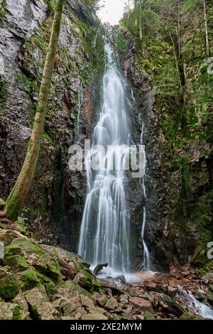 Der Burgbacher Wasserfall im Nadelwald fällt über Granitfelsen in das Tal bei Bad Rippoldsau-Schapbach, Schwarzwald, GE Stockfoto