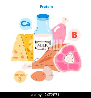 Gesundes Snack-Konzept. Nährstoffreiche Lebensmittel, die Proteine, Kalzium und Vitamine hervorheben. Käse, Milch, Fleisch und Eier für eine ausgewogene Ernährung. Vektorabbildung. Stock Vektor
