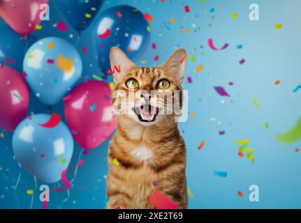 Lustiges Porträt einer fröhlich lächelnden bengalischen Katze auf festlichem Hintergrund mit Ballons und Konfetti. Stockfoto