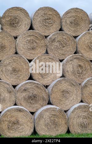 Stapel Heubällchen, Heuhaufen oder haycock auf einem landwirtschaftlichen Feld. Große Strohrollen auf einem Bauernhof. Stockfoto