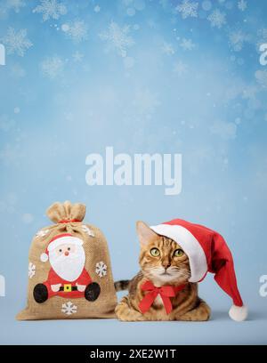 Rote Katze in einem Weihnachtsmann-Hut mit einer Tasche voller Geschenke auf einem Winterhintergrund. Stockfoto