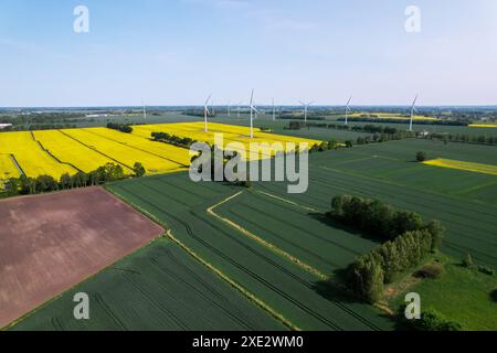 Luftaufnahme Windturbine auf grasbewachsenem gelbem Rapsfeld vor bewölktem blauen Himmel in ländlicher Gegend. Offshore Windmühlenpark mit c Stockfoto