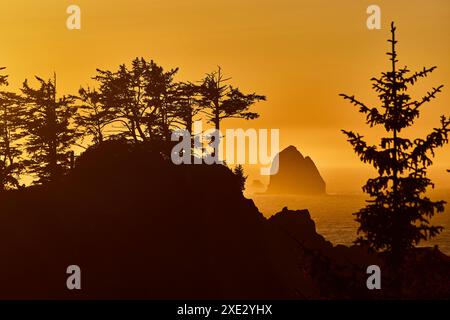 Goldener Sonnenuntergang über Arch Rock und bewaldeten Klippen aus der Vogelperspektive Stockfoto