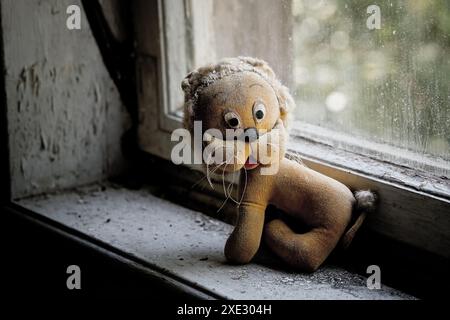 Ein altes Plüschtier in einem verlassenen Haus Stockfoto