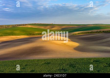 Grüne, wellenförmige Hügel mit landwirtschaftlichen Feldern Stockfoto