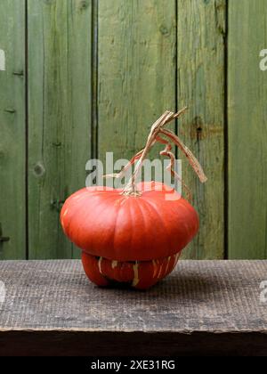 Turban Kürbis oder Turks Turban Kürbis auf einem alten Holztisch mit grünem Hintergrund und Kopierraum Stockfoto