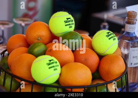 Bad Homburg, Hessen, Deutschland. Juni 2024. Impressionen während der BAD HOMBURG OPEN präsentiert von SOLARWATTT- WTA500 - Womens Tennis (Credit Image: © Mathias Schulz/ZUMA Press Wire) NUR REDAKTIONELLE VERWENDUNG! Nicht für kommerzielle ZWECKE! Stockfoto