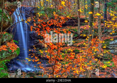 Lower Dundee Falls im Herbst, Beach City Wilderness Area, Ohio Stockfoto