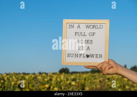 IN Einer WELT VOLLER ROSEN IST Ein SONNENBLUMENTEXT auf weißem Tafel neben dem Sonnenblumenfeld. Sonniger Sommertag. Motivationsunterschrift insp Stockfoto