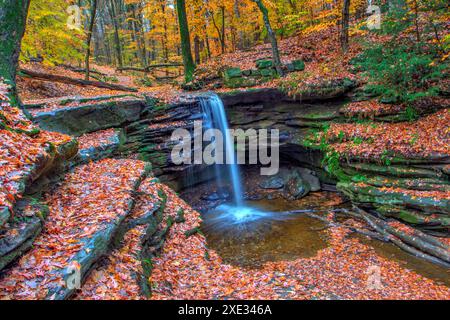 Dundee Falls im Herbst, Beach City Wilderness Area, Ohio Stockfoto