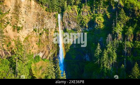 Blick aus der Vogelperspektive auf die Multnomah Falls, die in die grüne Columbia Gorge münden Stockfoto