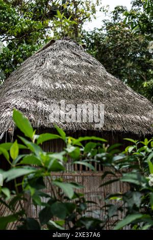Rustikale Hütte, die von einem einheimischen Stamm tief im Amazonas-Regenwald gebaut wurde und traditionelle Architektur und nachhaltige Lebensweisen von in zeigt Stockfoto