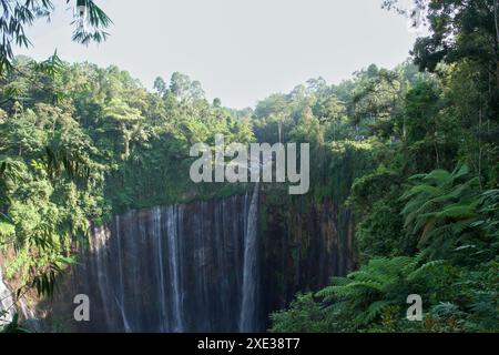 Tumpak Sewu Wasserfall. Majestätische Kaskade in Ost-Java, Indonesien Stockfoto