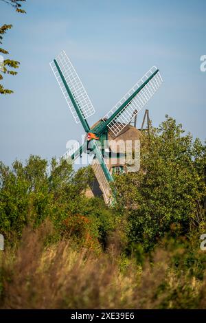 Eine alte Windmühle im Naturpark an der Ostsee. Stockfoto