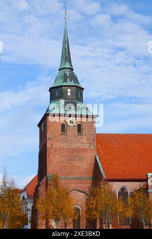 Stadtkirche St. Marien in Boizenburg, Deutschland Stockfoto